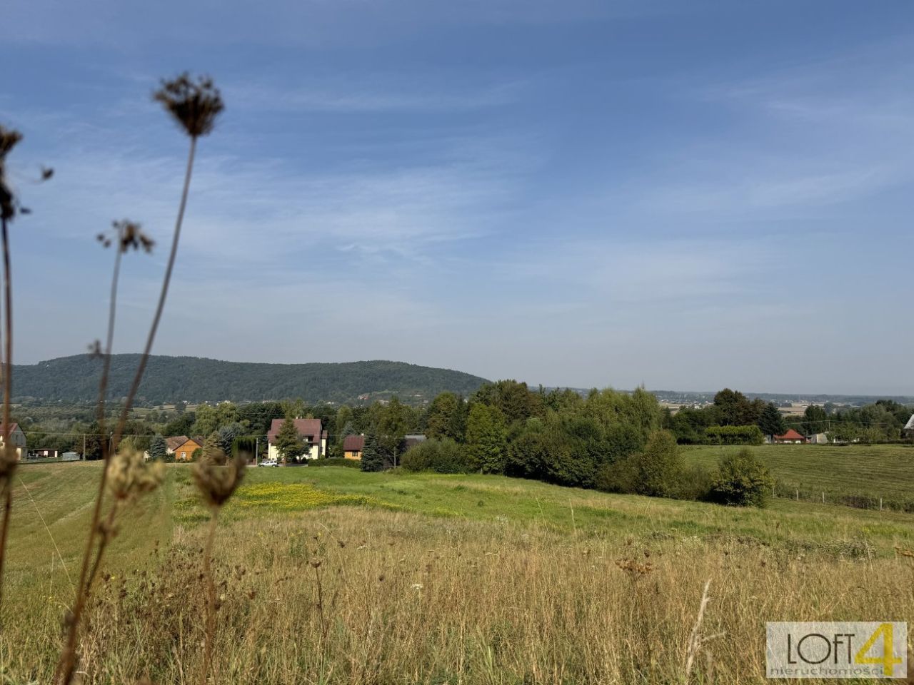 Działka rolno-budowlana Dąbrówka Szczepanowska. Zdjęcie 6