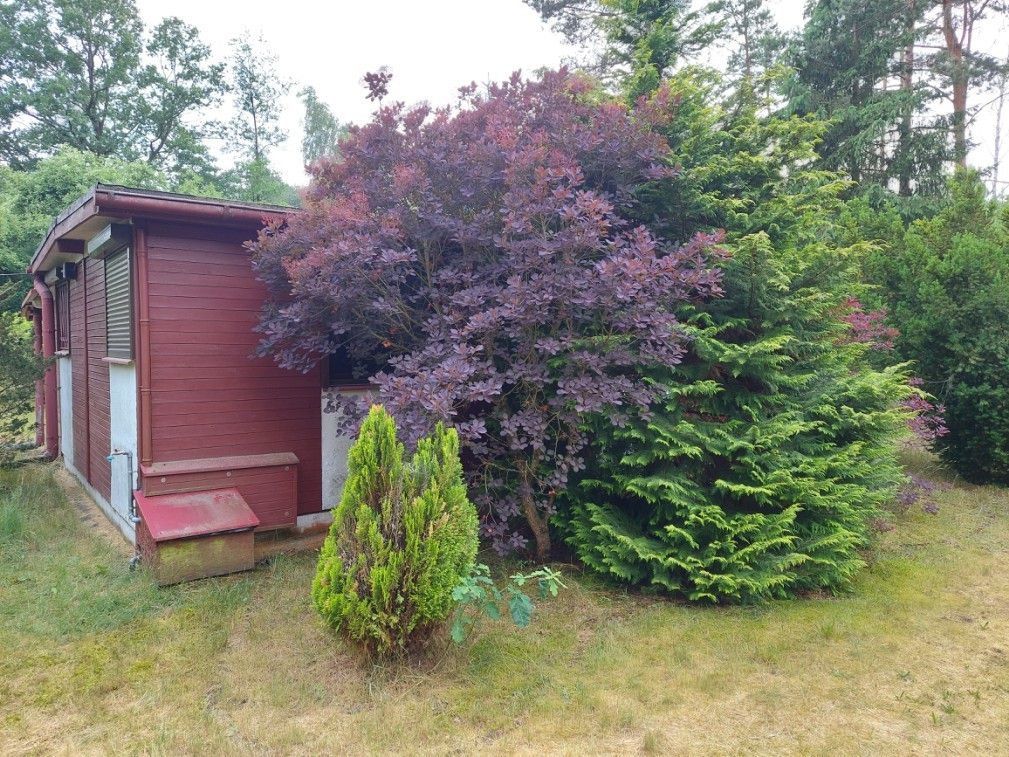 Działka budowlana Drużbice. Zdjęcie 2