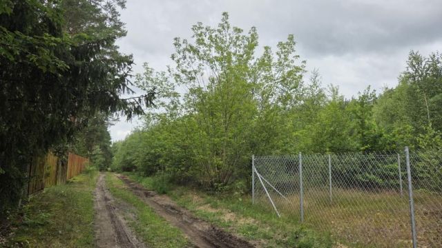 Działka rekreacyjna Królewo. Zdjęcie 5