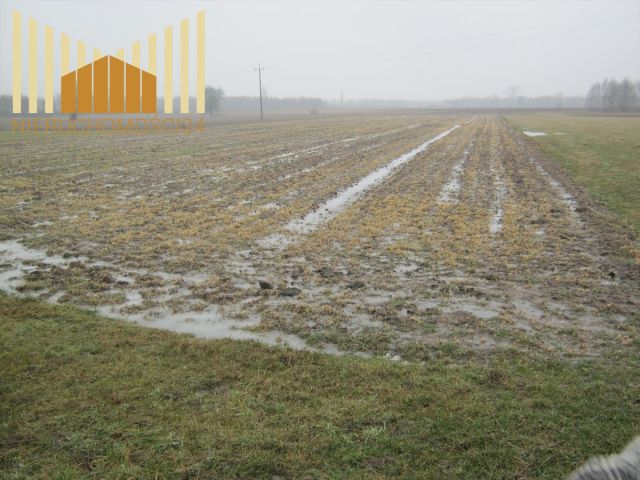 Działka rolna Kołbiel. Zdjęcie 2