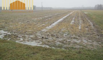 Działka rolna Kołbiel