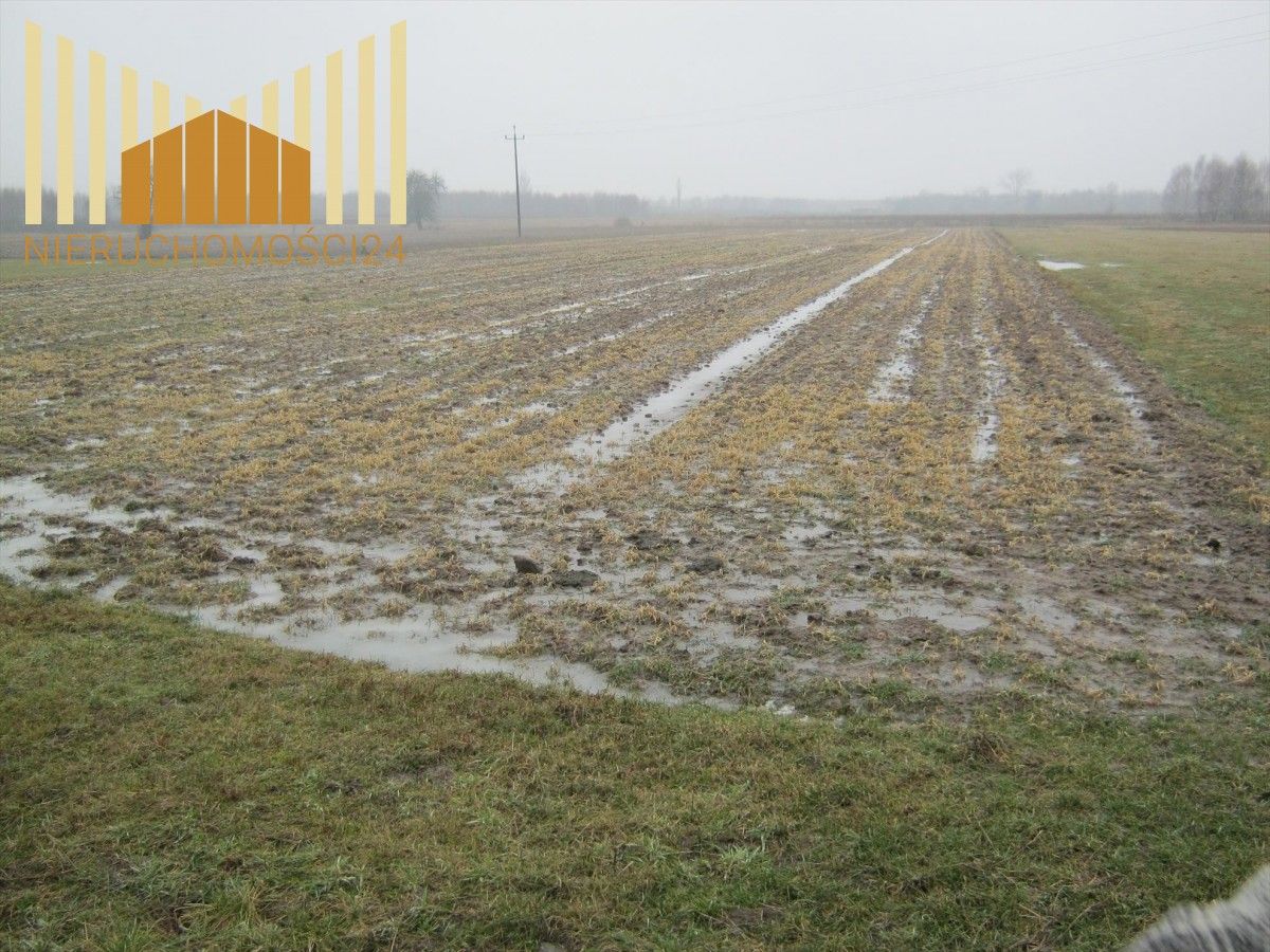 Działka rolna Kołbiel. Zdjęcie 2