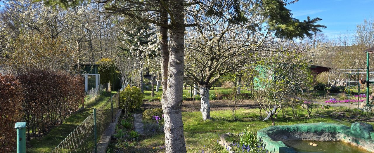 Działka rod Gdynia Orłowo, ul. Spółdzielcza. Zdjęcie 16