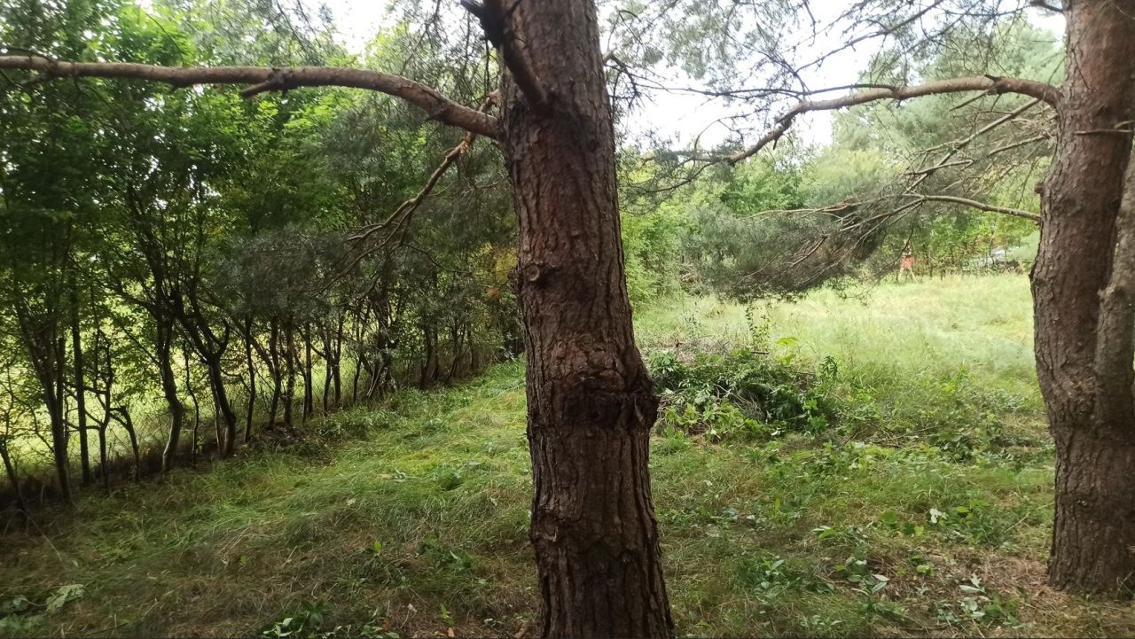 Działka budowlana Karwik. Zdjęcie 3