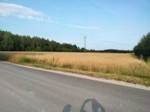 Działka budowlana Pabianice, ul. Podmiejska. Zdjęcie 3