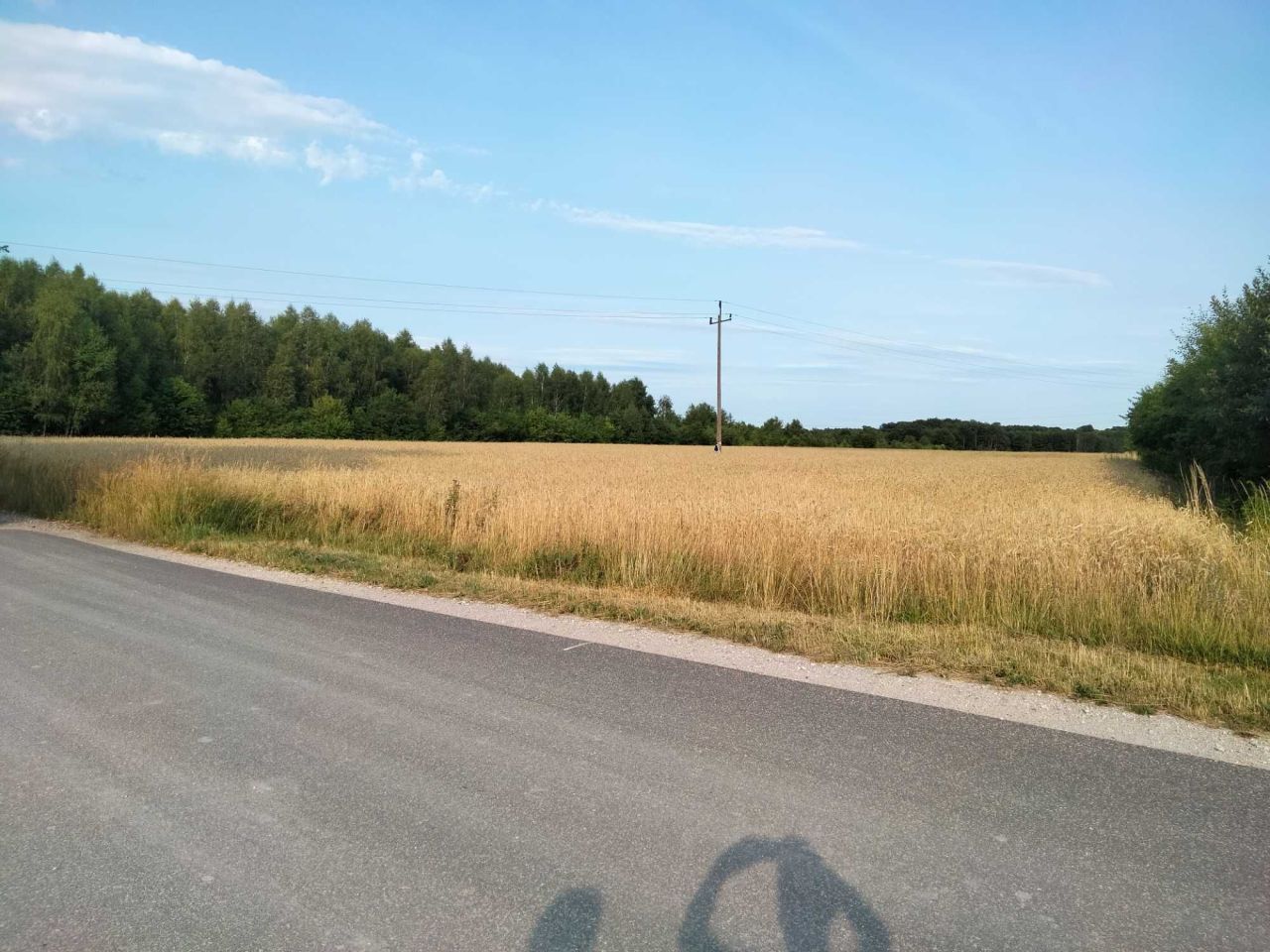 Działka budowlana Pabianice, ul. Podmiejska. Zdjęcie 4