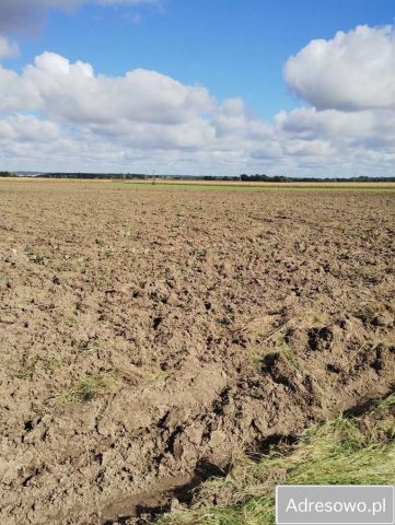 Działka rolna Koperniki. Zdjęcie 1