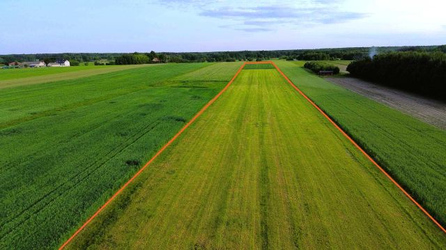 Działka rolno-budowlana Dłużew. Zdjęcie 1