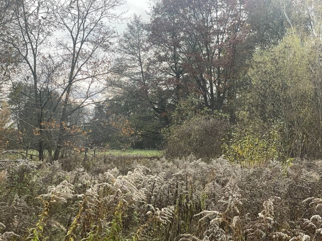 Działka budowlana Owczarnia, ul. Malinowa. Zdjęcie 1