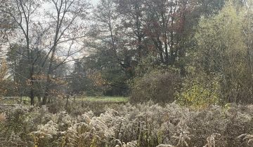 Działka budowlana Owczarnia, ul. Malinowa