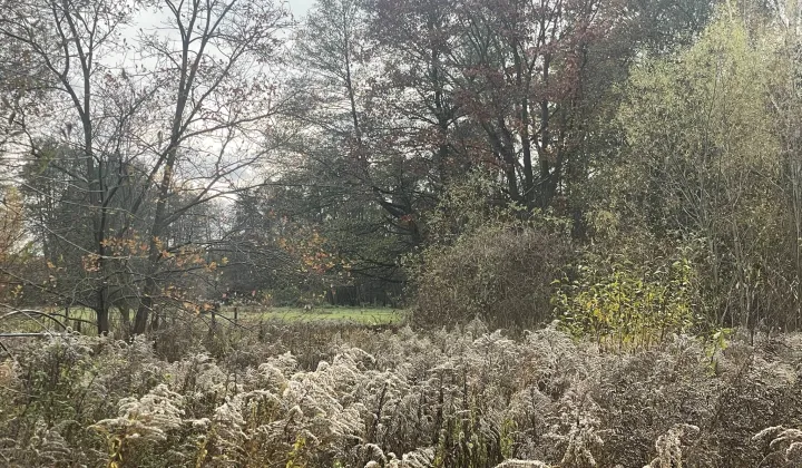 Działka budowlana Owczarnia, ul. Malinowa