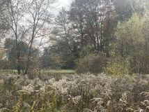 Działka budowlana Owczarnia, ul. Malinowa