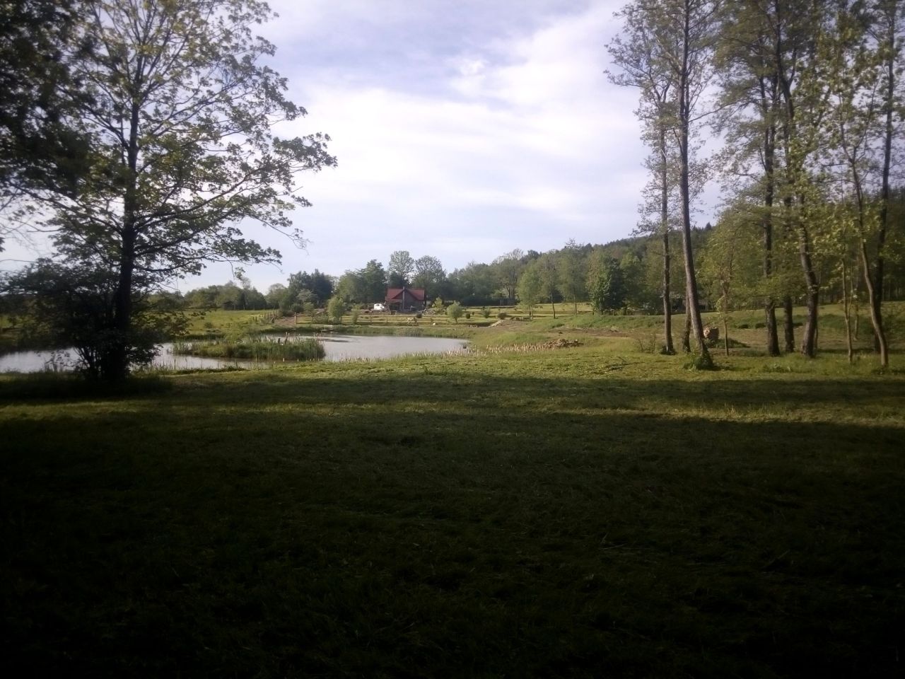 Działka rolno-budowlana Dzierżoniów. Zdjęcie 6