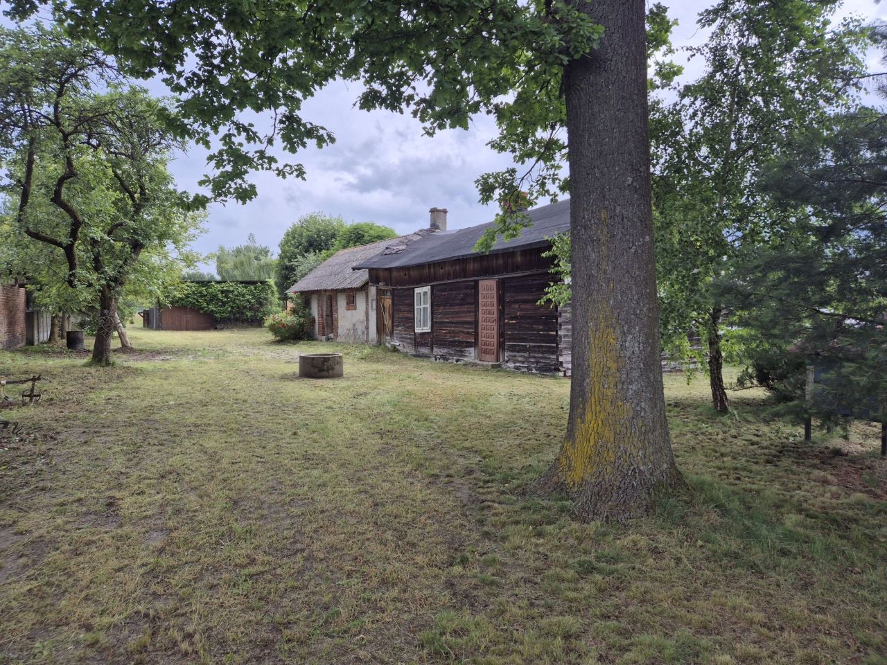 Działka Kluki. Zdjęcie 1