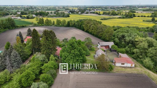 siedlisko Jaszczów. Zdjęcie 6