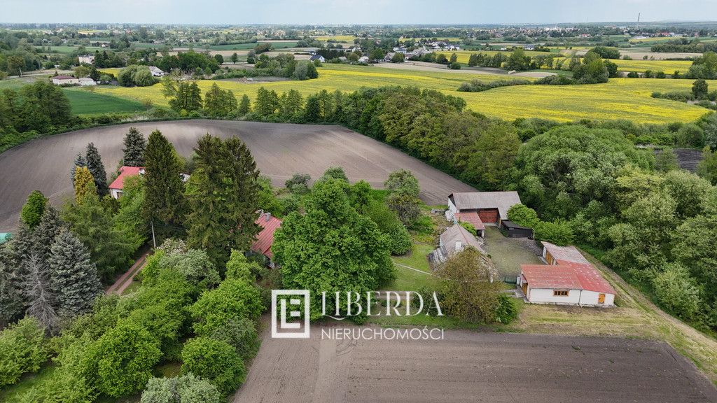 siedlisko Jaszczów. Zdjęcie 6