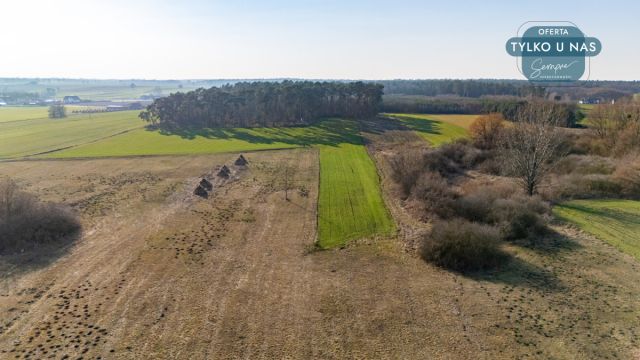 Działka inwestycyjna Łuszczewo. Zdjęcie 6