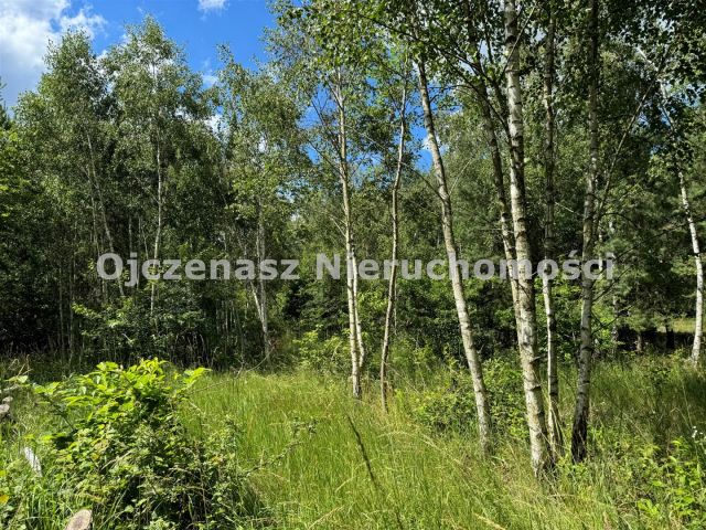 Działka budowlana Małe Rudy. Zdjęcie 4