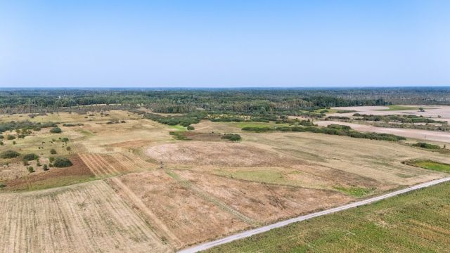 Działka rolna Brzeźno, Brzeźno. Zdjęcie 2