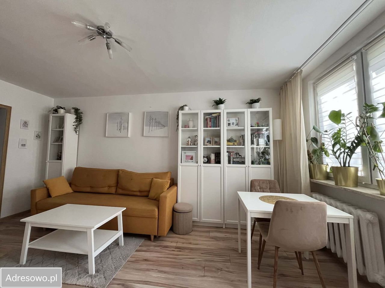 Mieszkanie 2-pokojowe Warszawa Marysin Wawerski, ul. Króla Maciusia. Zdjęcie 2