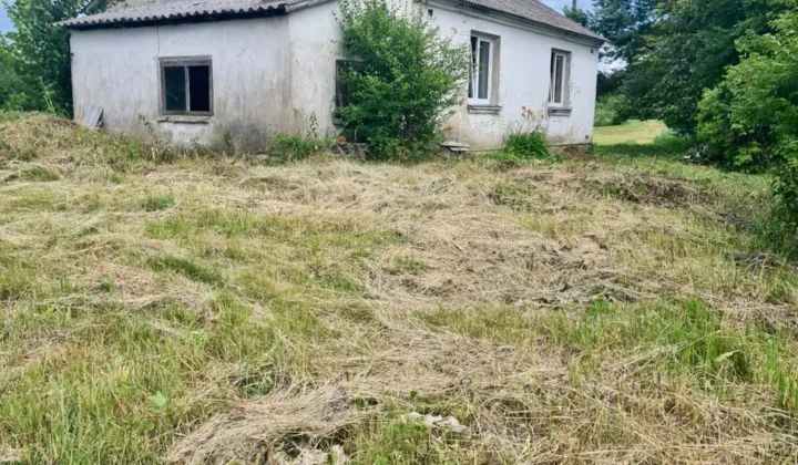 dom wolnostojący Świerszczów