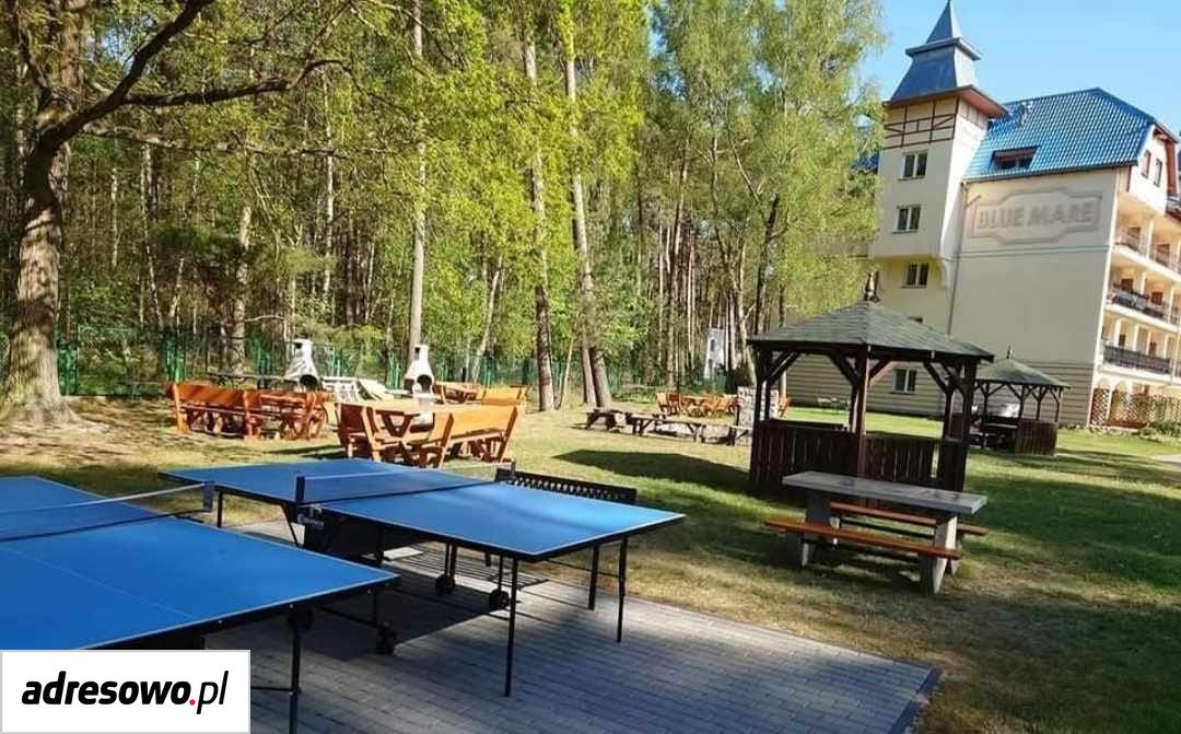 Lokal Łukęcin, ul. Spacerowa. Zdjęcie 12