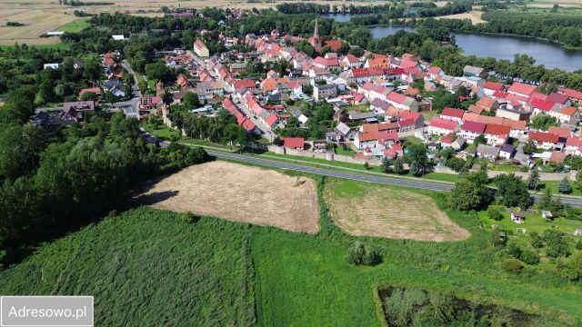 Działka Trzcińsko-Zdrój. Zdjęcie 1