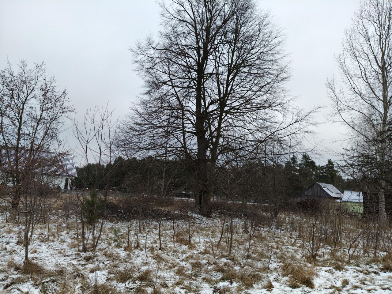 Działka rolno-budowlana Cisownik Komorniki. Zdjęcie 15