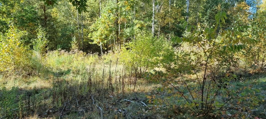 Działka budowlana Żółwin. Zdjęcie 6