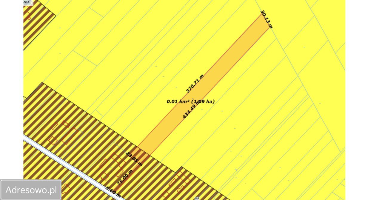 Działka rolno-budowlana Tomaszowice. Zdjęcie 5