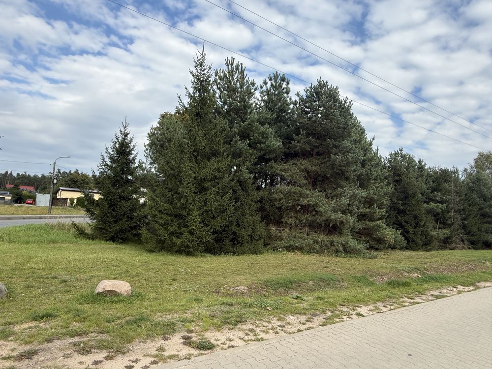 Działka Mikołajki Pomorskie, ul. Akacjowa