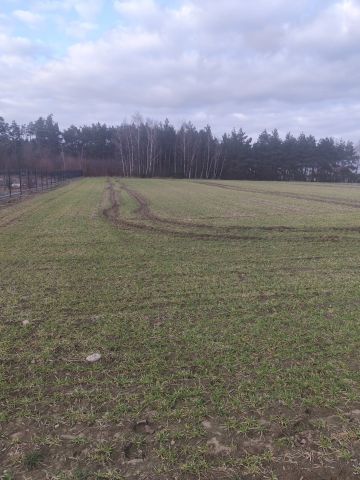 Działka budowlana Szczutki, Wiosenna. Zdjęcie 1