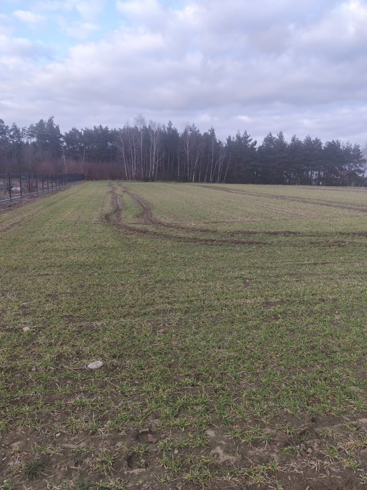 Działka budowlana Szczutki, Wiosenna. Zdjęcie 1