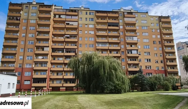 Mieszkanie 2-pokojowe Bełchatów, os. Dolnośląskie