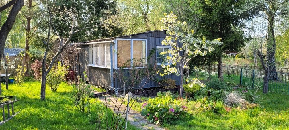 Działka rekreacyjna Nadarzyn