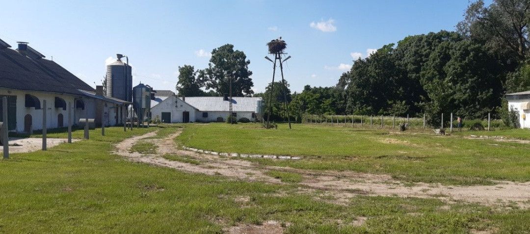 Nieruchomość komercyjna Kliczewo Małe, ul. Nowa. Zdjęcie 5