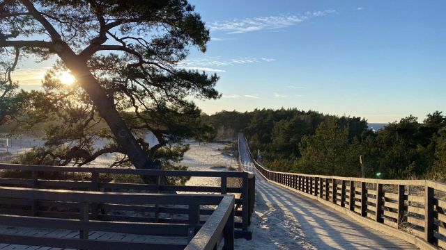 Działka rolna Grzybowo. Zdjęcie 9