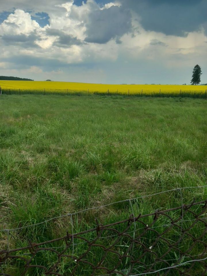 Działka budowlana Mościska. Zdjęcie 1