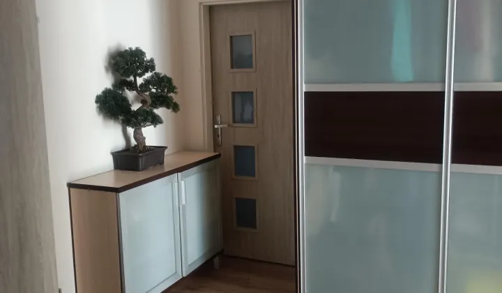 Mieszkanie 2-pokojowe Bełchatów, ul. 1 Maja