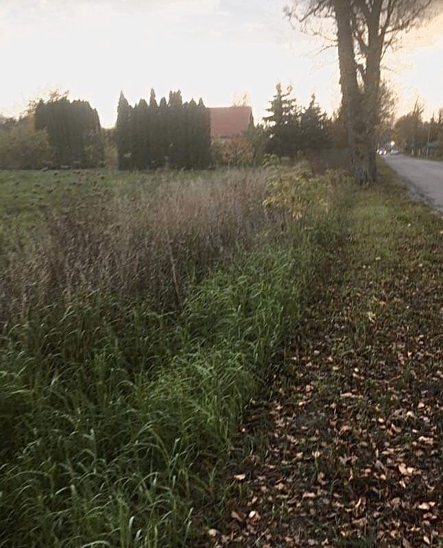 Działka budowlana Rogoźno, ul. Boguniewska. Zdjęcie 7