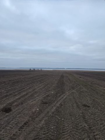 Działka rolna Gleźnowo. Zdjęcie 1