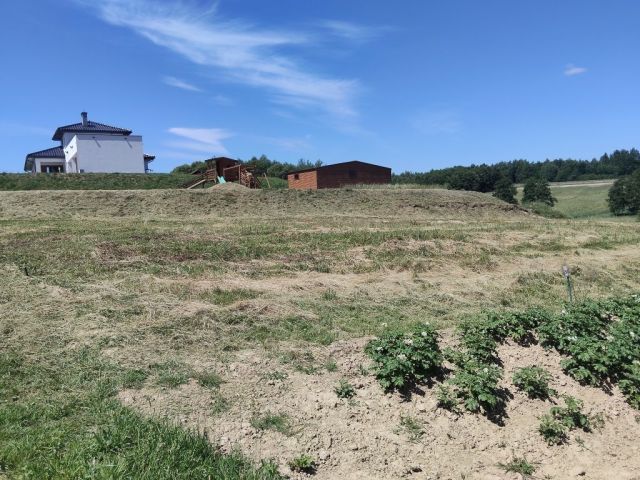Działka rolna Nowy Borek. Zdjęcie 1