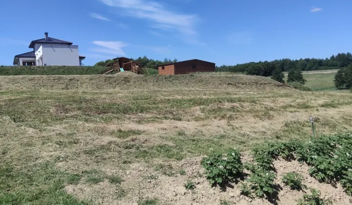 Działka rolna Nowy Borek