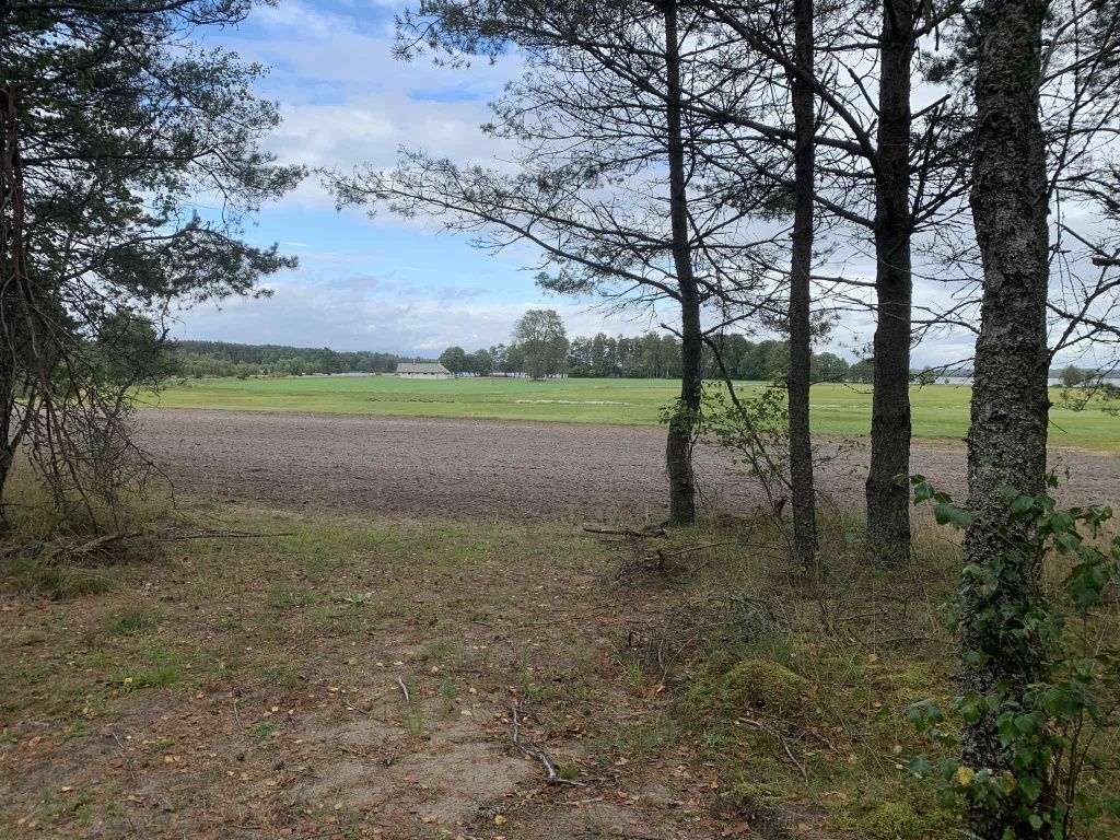 Działka rolna Kruszyn. Zdjęcie 2