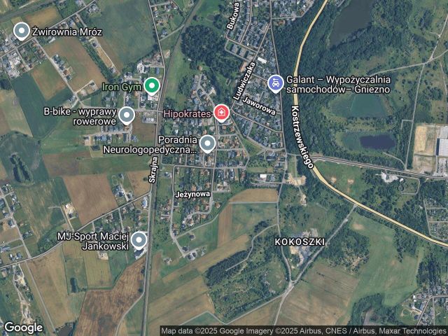 Działka budowlana Gniezno, ul. Śliwowa. Zdjęcie 1