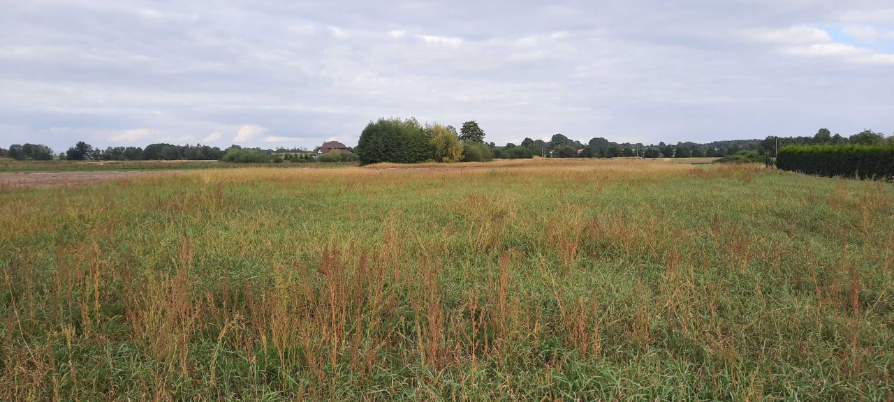 Działka budowlana Radomice. Zdjęcie 4