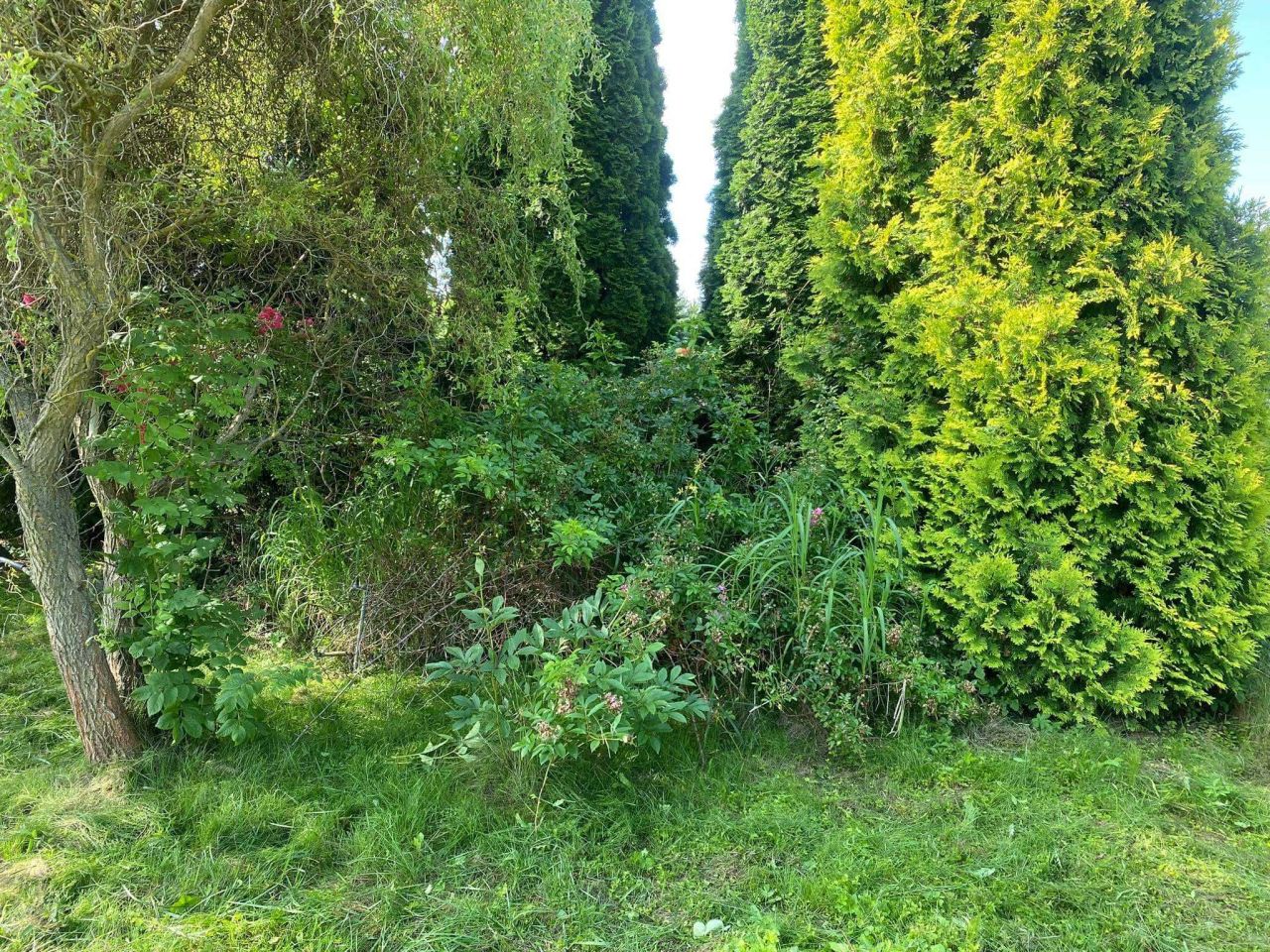 Działka rekreacyjna Miechów, ul. Racławicka