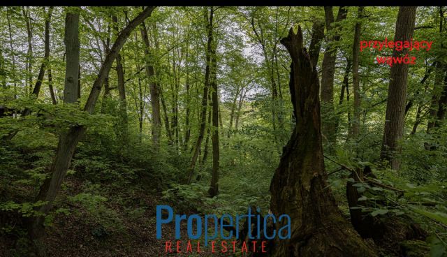 Działka budowlana Kazimierz Dolny, ul. Kwaskowa Góra. Zdjęcie 6