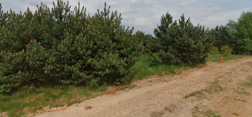 Działka budowlana Popowo-Parcele, ul. Tęczowa. Zdjęcie 2