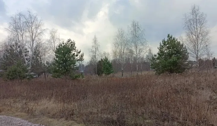 Działka budowlana Żabia Wola